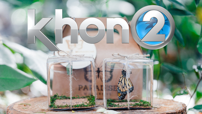 In The Press - KHON2 Local News: "How you can help repopulate Oahu’s Monarch Butterflies"