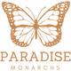 paradise monarchs Oahu Hawaii logo in orange and transparent background