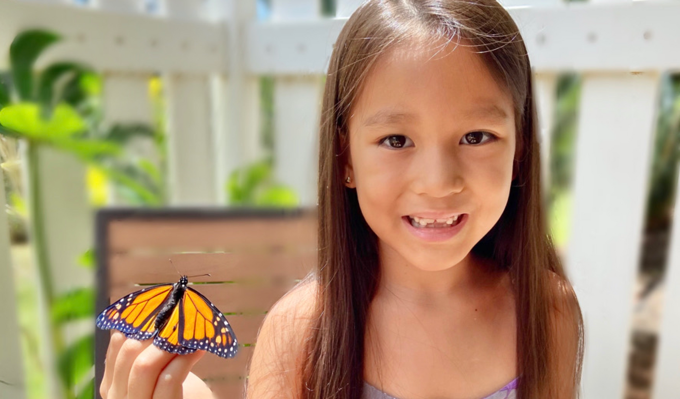 A young beautiful and adorable young girl holding her live monarch butterfly on her fingers taking a photo before releasing it into the nature on Oahu Hawaii 