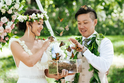 Wings of Love: Creating Lasting Memories with Butterfly Releases in Hawaii