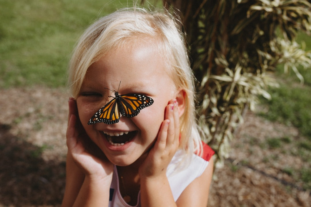 A young girl with a live monarch butterfly on her nose face. Super excited to have her monarch butterfly on her putting her hands to her face. 