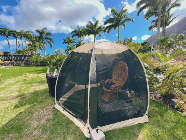 live monarch butterfly feeding experience inside a pop-up mesh tent dome using a nectar juice sticker to feed the butterfly in Hawaii 