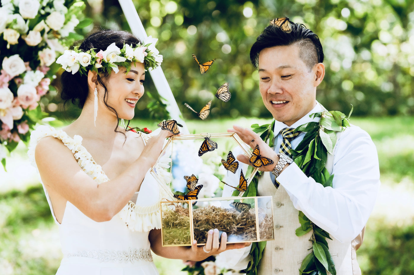 beautiful asian couple releasing live monarch butterflies from a glass box for there wedding ceremony on Oahu Honolulu hawaii 