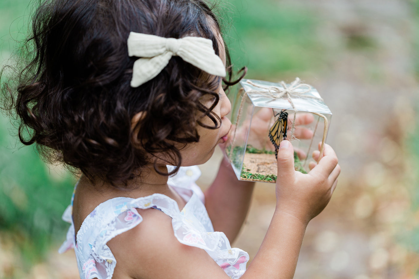 Young girl holding a live monarch butterfly chrysalis clear box giving a new baby monarch butterfly a kiss before releasing it in Hawaii
