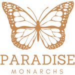paradise monarchs Oahu Hawaii logo in orange and transparent background