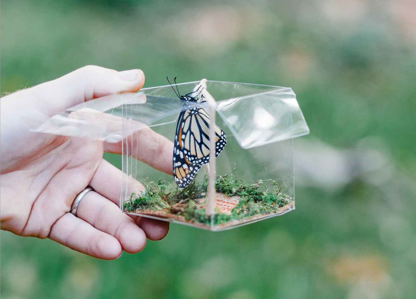 Butterfly gifts deals