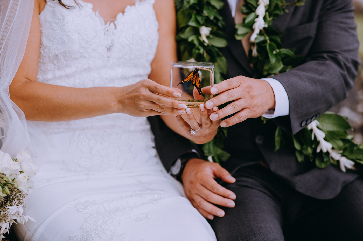 wedding couple holding a live butterfly box ready to release it to celebrate their big day wedding
