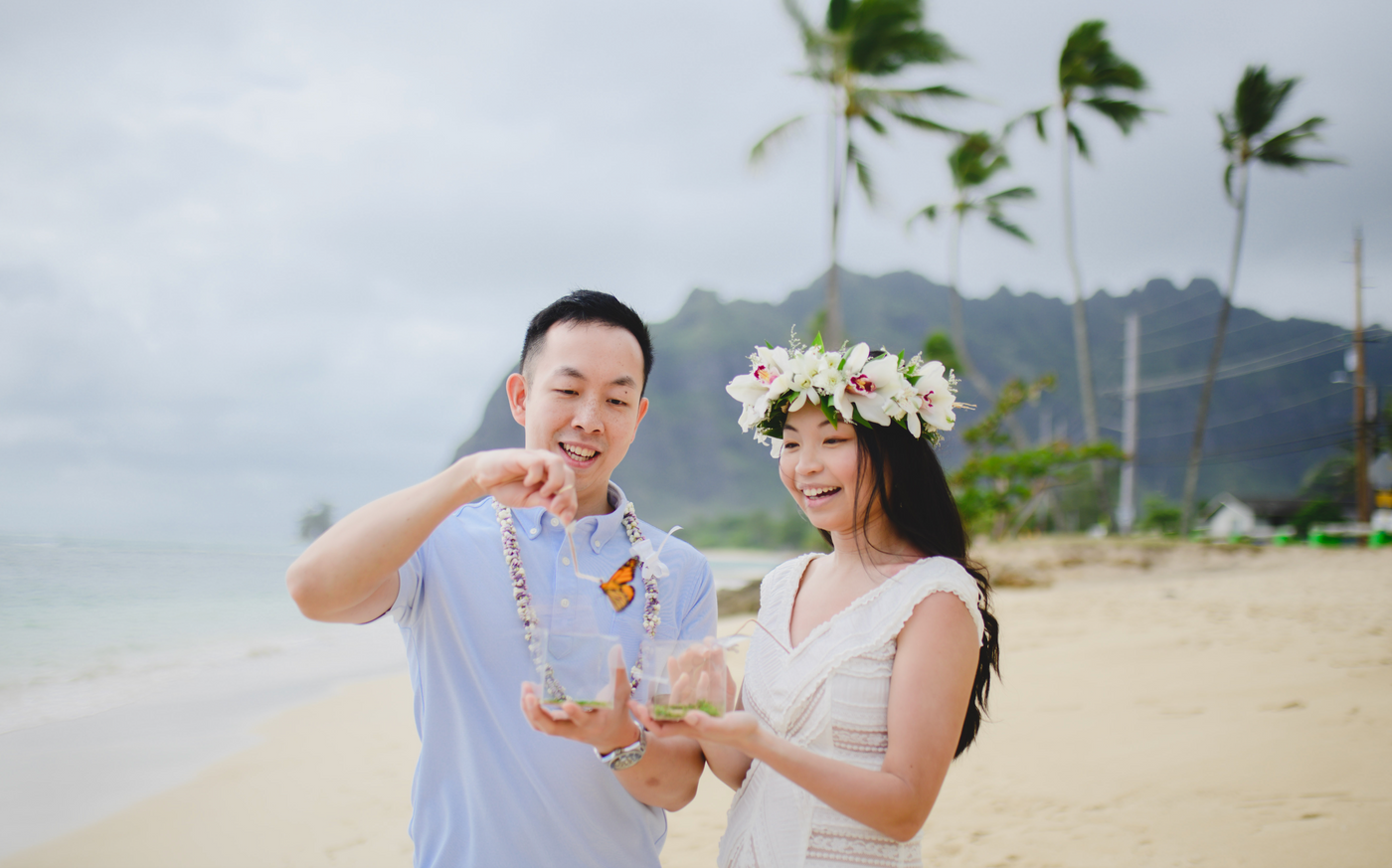 Beautiful asian couple releasing monarch butterfly on Oahu in Hawaii by Kualoa Ranch in celebration of expecting baby for baby moon. Butterfly was emerge or eclose from chrysalis box before releasing. 