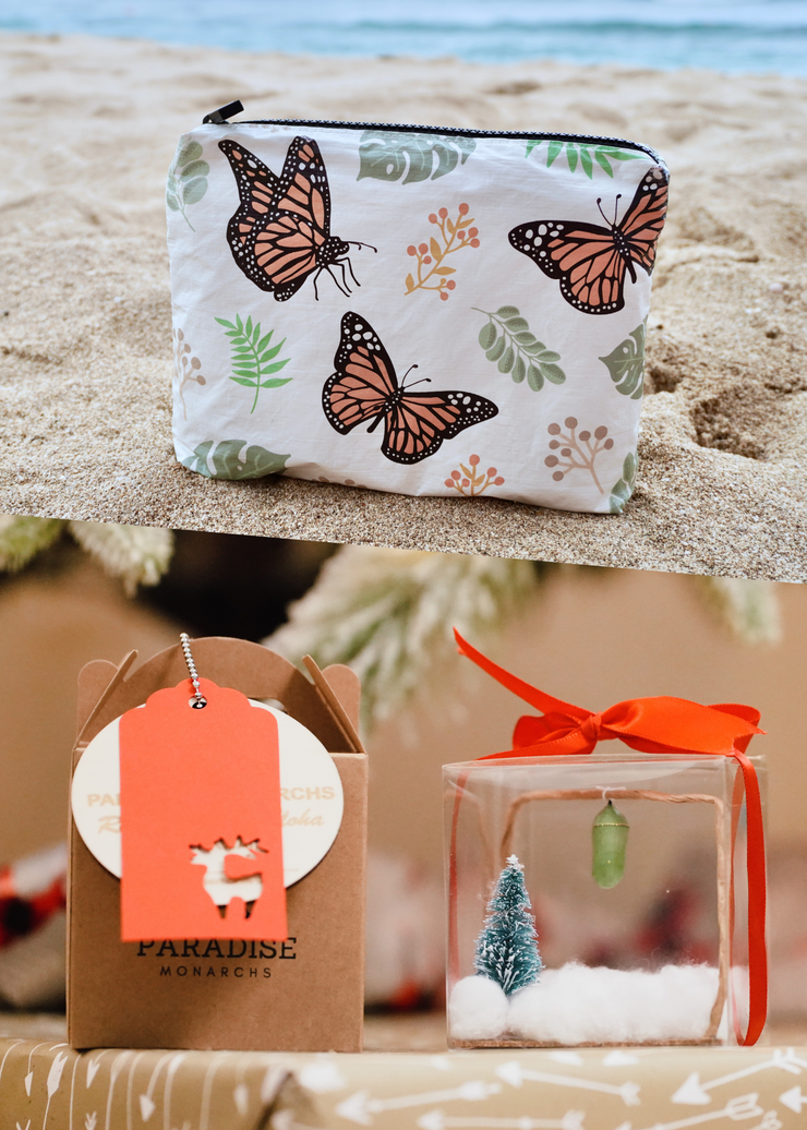 Holiday Chrysalis Box + Pouch Set (Pre-order)