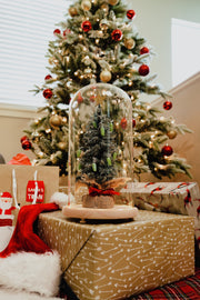 Holiday Live Monarch Butterfly Chrysalis Tree (Pre-order)