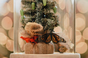 Holiday Live Monarch Butterfly Chrysalis Tree (Pre-order)