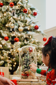 Holiday Live Monarch Butterfly Chrysalis Tree (Pre-order)